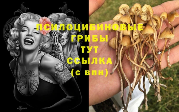 молекула духа Верея